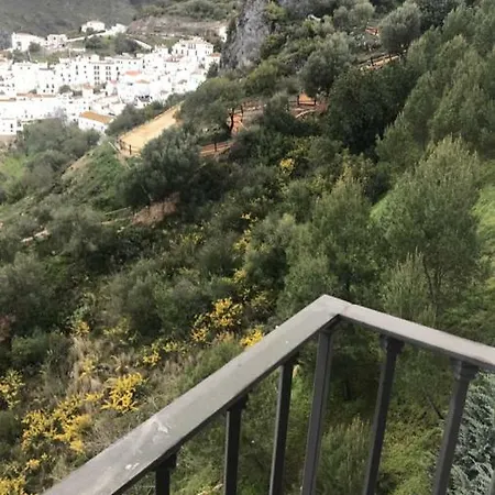38 Casares