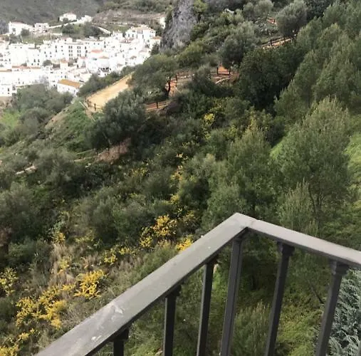 38 Casares